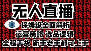 2025无人直播这么做就对了,保姆级全面解析,全程干货,新手老手都可上手-七七项目网