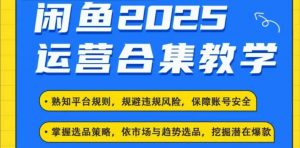 2025闲鱼电商运营全集,2025最新咸鱼玩法-七七项目网