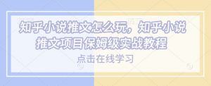 知乎小说推文怎么玩，知乎小说推文项目保姆级实战教程-七七项目网