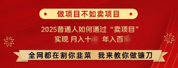 必看，做项目不如卖项目，2025普通人如何通过“卖项目”实现月入十个，年入百个-七七项目网