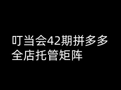 叮当会拼多多打爆班原创高阶技术第42期，拼多多全店托管矩阵-七七项目网