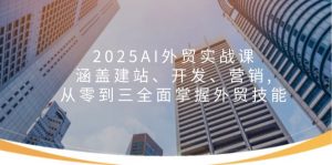 2025AI外贸实战课：涵盖建站、开发、营销, 从零到三全面掌握外贸技能-七七项目网