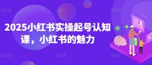 2025小红书实操起号认知课，小红书的魅力-七七项目网
