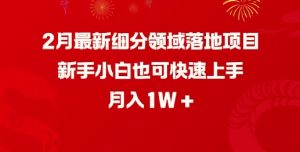 2月最新细分领域落地项目,新手小白也可快速上手,月入1W-七七项目网