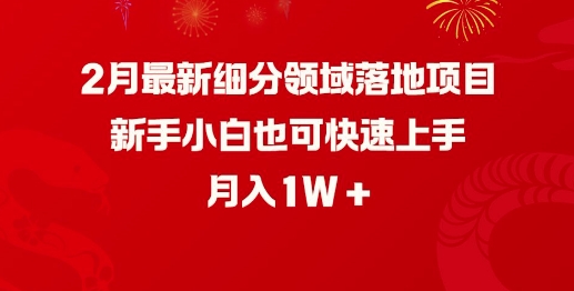2月最新细分领域落地项目，新手小白也可快速上手，月入1W-七七项目网