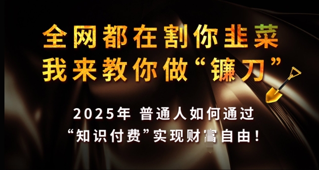全网都在割你韭菜，我来教你做镰刀，2025年普通人如何通过 知识付费 实现财F自由【揭秘】-七七项目网