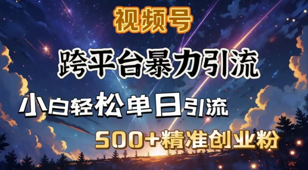 跨平台暴力引流，私域完美闭环，日引500+精准创业粉-七七项目网