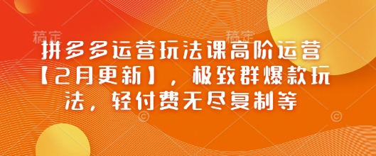 拼多多运营玩法课高阶运营【2月更新】，极致群爆款玩法，轻付费无尽复制等-七七项目网