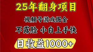 一天收益1000+ 25年开年落地好项目-七七项目网