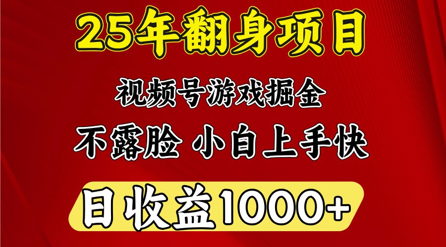 一天收益1000+ 25年开年落地好项目-七七项目网
