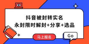 抖音被封转实名攻略，永久封禁也能限时解封，分享解封后高效选品技巧-七七项目网