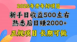 2025开年好项目，单号日收益2000左右-七七项目网
