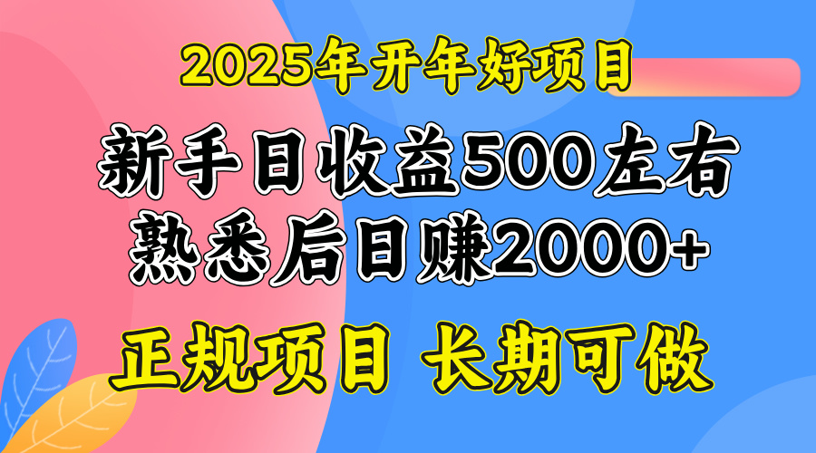 2025开年好项目，单号日收益2000左右-七七项目网