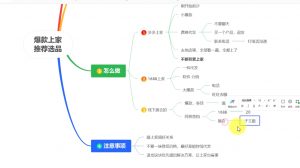 苏博士·淘宝精细化铺货运营陪跑(部分更新至2025)-七七项目网