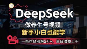 小白用DeepSeek做养生号，一条作品涨粉5万+，单日收益上千-七七项目网