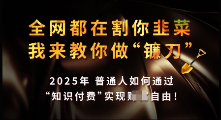 知识付费如何做到月入过W+，2025我来教你做“镰刀”【揭秘】-七七项目网
