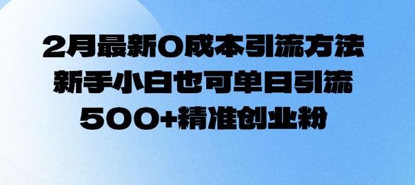 2月最新0成本引流方法，新手小白也可单日引流500+精准创业粉-七七项目网