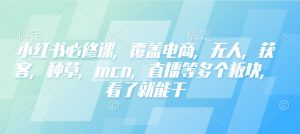 小红书必修课，覆盖电商，无人，获客，种草，mcn，直播等多个板块，看了就能干-七七项目网