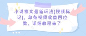 小说推文最新玩法(视频标记)，单条视频收益四位数，详细教程来了-七七项目网