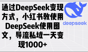 通过DeepSeek变现方式，小红书教使用DeepSeek图文，导流私域一天变现1000+-七七项目网