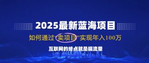 2025最新蓝海项目，零门槛轻松复制，月入10万+，新手也能操作！-七七项目网