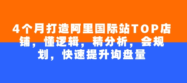 4个月打造阿里国际站TOP店铺，懂逻辑，精分析，会规划，快速提升询盘量-七七项目网