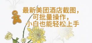 【轻云】最新美团酒店截图，可批量操作，小白也能轻松上手-七七项目网