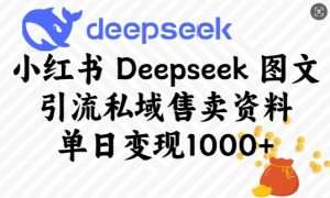 小红书Deepseek图文引流私域售卖资料,单日变现多张-七七项目网