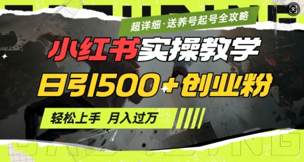 2月小红书最新日引500+创业粉实操教学【超详细】小白轻松上手，月入1W+，附小红书养号起号SOP-七七项目网