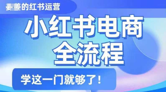 小红书电商全流程，精简易懂，从入门到精通，学这一门就够了-七七项目网