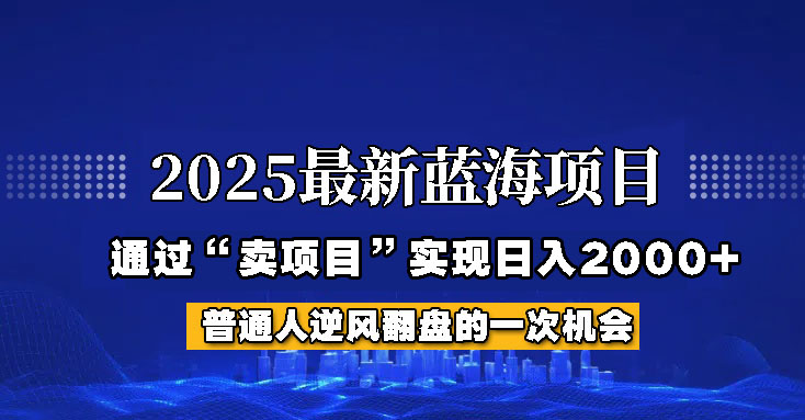 2025年蓝海项目，如何通过“网创项目”日入2000+-七七项目网