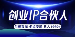 云帆·创业ip合伙人打造3.0,从0到1教你做网创,实现月入过W-七七项目网
