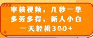 审核视频，几秒一单，多劳多得，新人小白一天轻松3张【揭秘】-七七项目网