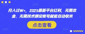 月入过W+，2025最新平台红利，无需本金、无需技术绑定账号就能自动收米-七七项目网
