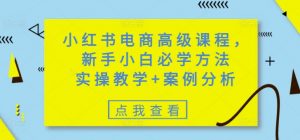 小红书电商高级课程,新手小白必学方法,实操教学+案例分析-七七项目网