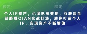 个人IP资产，小团队高变现，互联网全链路赚QIAN实战打法，助你打造个人IP，实现资产不断增值-七七项目网