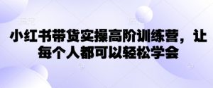 小红书带货实操高阶训练营,让每个人都可以轻松学会-七七项目网