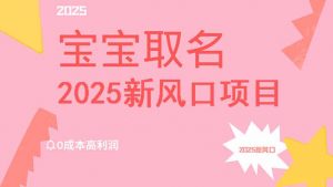2025新风口项目宝宝取名，0成本高利润，附保姆级教程，月入过万不是梦-七七项目网