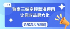 独家三端变现蓝海项目，让你收益最大化，长尾流无限躺挣-七七项目网