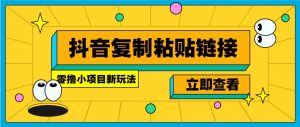 零撸小项目，新玩法，抖音复制链接0.07一条，20秒一条，无限制。-七七项目网