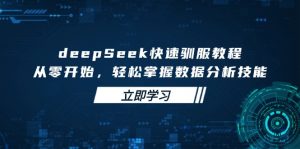 deepSeek快速驯服教程，从零开始，轻松掌握数据分析技能-七七项目网