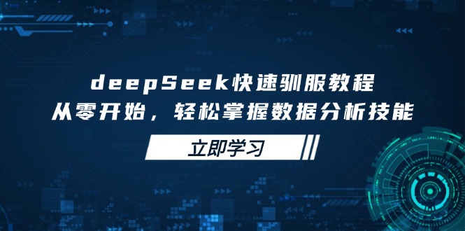 deepSeek快速驯服教程，从零开始，轻松掌握数据分析技能-七七项目网
