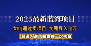2025蓝海项目,普通人如何通过卖项目,实现月入过W,全过程【揭秘】-七七项目网