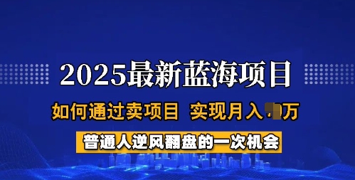2025蓝海项目，普通人如何通过卖项目，实现月入过W，全过程【揭秘】-七七项目网