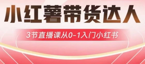 小红薯达人带货启航计划，3节直播课从0-1入门小红书-七七项目网