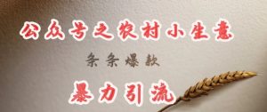 deepseek写农村小项目，条条爆款，暴力引流-七七项目网