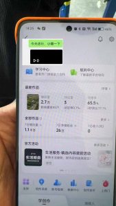 抖音暴力涨粉技术：一天轻松1-10万粉，技术不确定真实性，自测-七七项目网