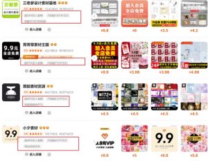 0成本虚拟项目实战手把手教你落地，单店月入5k-七七项目网