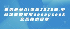 天诺老吴AI课程2025年,电商企业如何用deeepseek实现降本提效-七七项目网
