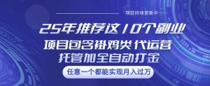 25年推荐这10个副业项目包含褂鸡类、代运营托管类、全自动打金类【揭秘】-七七项目网